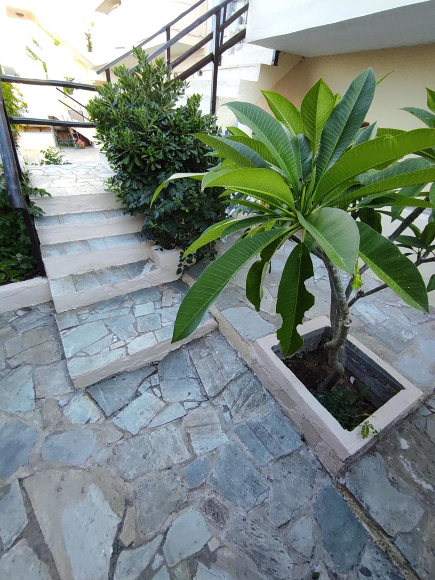 Dedalos N3 Sea View Apartment-30 Metres From The Beach Stalís Exterior photo