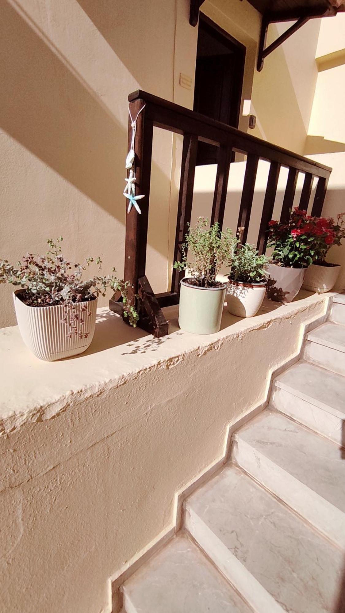 Dedalos N3 Sea View Apartment-30 Metres From The Beach Stalís Exterior photo